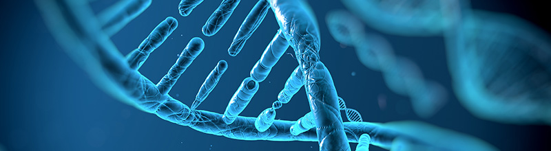 Healthcare and Life Sciences: Demonstrating Credible Valuations to Investors