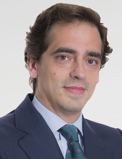 D. Alvaro Vicens D. Alvaro Vicens