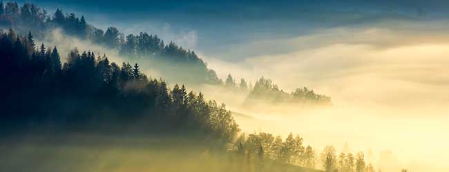 ESAs Consult on Environmental, Social and Governance Disclosure Rules ESAs Consult on Environmental, Social and Governance Disclosure Rules
