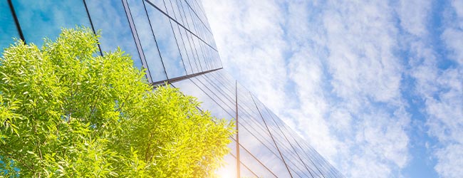 The Growing Importance of ESG | Regulatory Focus – June 2020 The Growing Importance of ESG | Regulatory Focus – June 2020