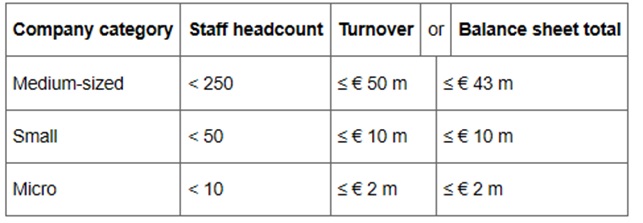 Definition of Micro, Small and Medium-Sized Enterprises in the European Union
