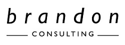 Brandon Global IT Limited Brandon Global IT Limited