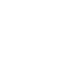 Cyber Litigation Support Cyber Litigation Support