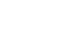Cyber Litigation Support Cyber Litigation Support