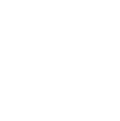 Investigative Background