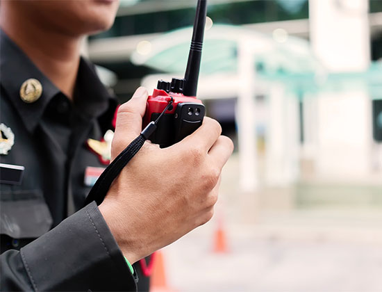 Law Enforcement and Public Safety | Security Risk Management | Services
