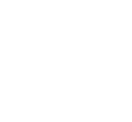 Technology Expert Services Expert Services