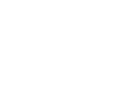 Technology Expert Services Fact Witness Testimony and Disclosure