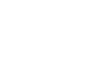 Technology Expert Services Technical Insurance Disputes and Claims