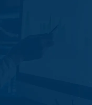 Alternatives Risk Assessment Platform Alternatives Risk Assessment Platform