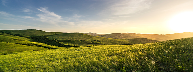 New California Legislation Adds to Growing Global Climate Disclosure Requirements for Public and Private Enterprises New California Legislation Adds to Growing Global Climate Disclosure Requirements for Public and Private Enterprises