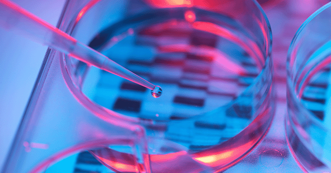 European Chemical Update – Spring 2023 European Chemical Update – Spring 2023